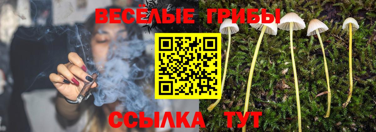 Галлюциногенные грибы MAGIC MUSHROOMS  хочу   Вход с VPN  Апатиты  Галлюциногенные грибы GOLDEN TEACHER 
